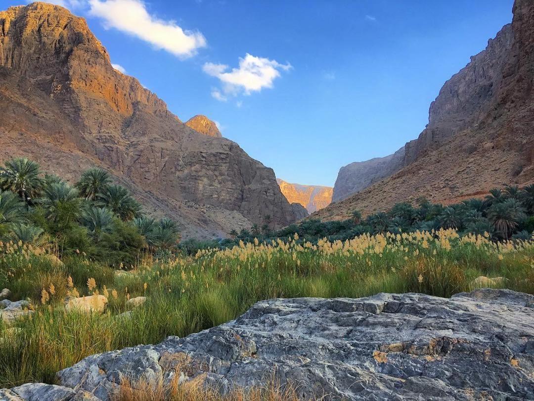 Wadi Al Arbeieen Resort Firq Exterior foto