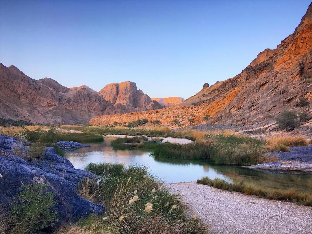 Wadi Al Arbeieen Resort Firq Exterior foto