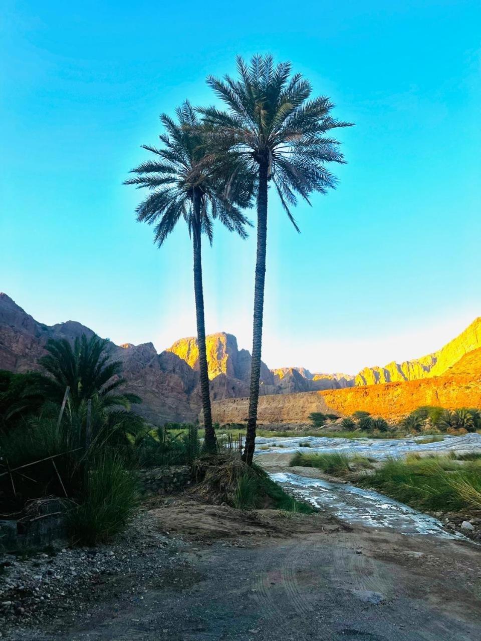 Wadi Al Arbeieen Resort Firq Exterior foto